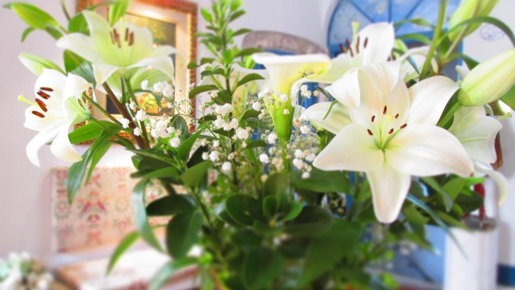 סטורניה Hotel Villa Clodia מראה חיצוני תמונה